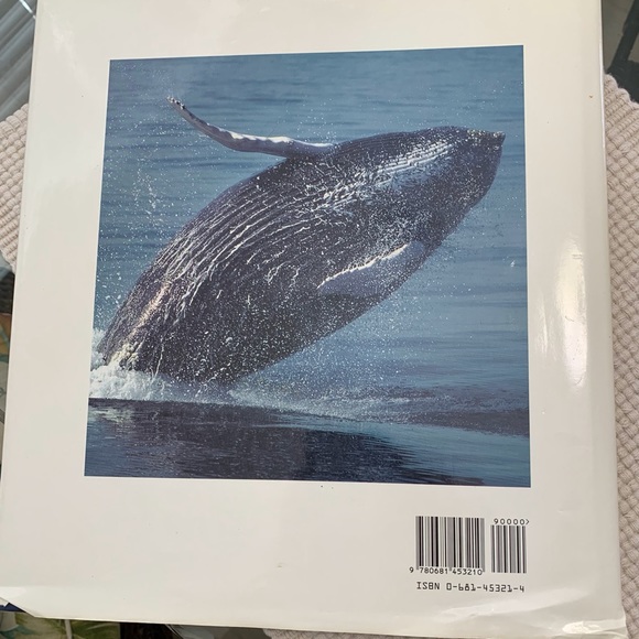 Large coffee table size hardcover educational book Giants of the Sea - Picture 6 of 9